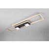 Illuminazione Trio Leuchten ALBANY Plafoniera LED Nero-Oro, 1-Luce, Telecomando