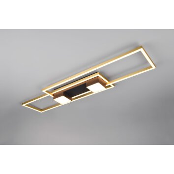 Illuminazione Trio Leuchten ALBANY Plafoniera LED Nero-Oro, 1-Luce, Telecomando