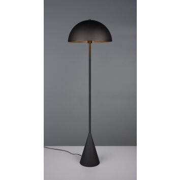 Illuminazione Trio Leuchten Alfie Lampada da terra Nero, 1-Luce