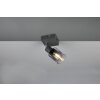 Illuminazione Reality Cadiz Faretto da soffitto Antracite, 1-Luce