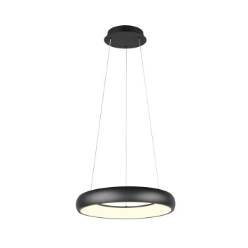 Illuminazione Trio Leuchten Cardona Lampada a sospensione LED Nero, 1-Luce