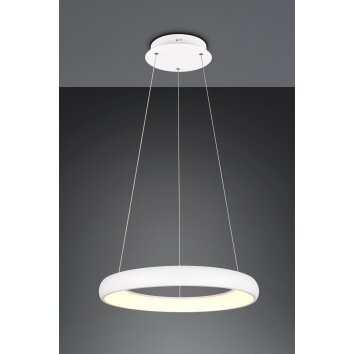 Illuminazione Trio Leuchten Cardona Lampada a sospensione LED Bianco, 1-Luce