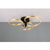 Illuminazione Trio Leuchten Caruso Plafoniera LED Nero-Oro, 1-Luce