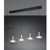 Illuminazione Trio Leuchten Celeste Lampada a sospensione LED Nero, 1-Luce