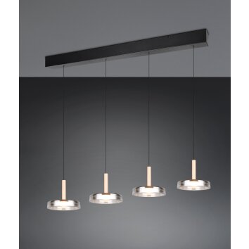 Illuminazione Trio Leuchten Celeste Lampada a sospensione LED Nero, 1-Luce