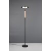 Illuminazione Trio Leuchten Celeste Lampada da terra LED Nero, 1-Luce