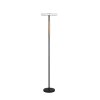 Illuminazione Trio Leuchten Celeste Lampada da terra LED Nero, 1-Luce