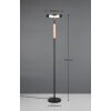 Illuminazione Trio Leuchten Celeste Lampada da terra LED Nero, 1-Luce