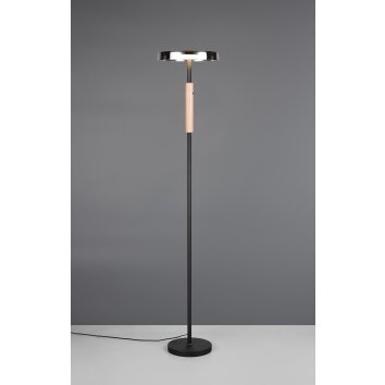 Illuminazione Trio Leuchten Celeste Lampada da terra LED Nero, 1-Luce