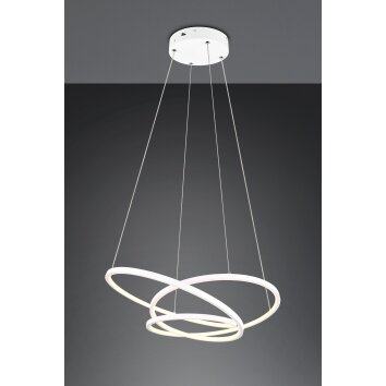 Illuminazione Trio Leuchten Darvin Lampada a sospensione LED Bianco, 1-Luce