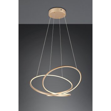 Illuminazione Trio Leuchten Darvin Lampada a sospensione LED Oro, 1-Luce