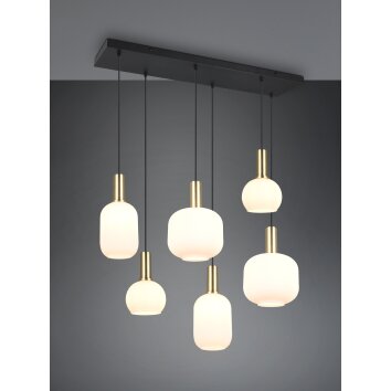 Illuminazione Trio Leuchten Diva Lampada a sospensione Ottone, 6-Luci