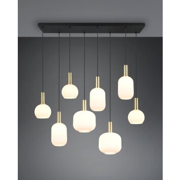 Illuminazione Trio Leuchten Diva Lampada a sospensione Ottone, 8-Luci