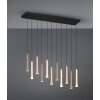 Illuminazione Trio Leuchten Fiato Lampada a sospensione LED Nero, 11-Luci