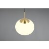 Illuminazione Trio Leuchten Fomento Lampada a sospensione Ottone, 1-Luce