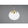 Illuminazione Trio Leuchten Fomento Lampada a sospensione Ottone, 1-Luce