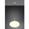 Illuminazione Trio Leuchten Fomento Lampada a sospensione Ottone, 1-Luce