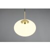 Illuminazione Trio Leuchten Fomento Lampada a sospensione Ottone, 1-Luce