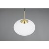 Illuminazione Trio Leuchten Fomento Lampada a sospensione Ottone, 1-Luce