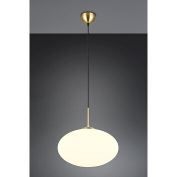 Illuminazione Trio Leuchten Fomento Lampada a sospensione Ottone, 1-Luce