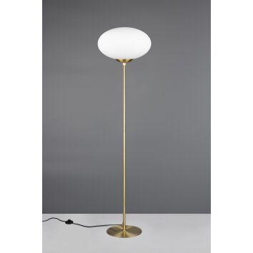 Illuminazione Trio Leuchten Fomento Lampada da terra Ottone, 1-Luce