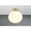 Illuminazione Trio Leuchten Fomento Plafoniera Ottone, 1-Luce