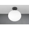 Illuminazione Trio Leuchten Fomento Plafoniera Nero, 1-Luce