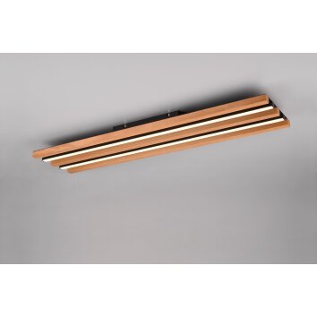 Illuminazione Trio Leuchten Fontana Plafoniera LED Nero, 1-Luce