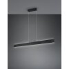 Illuminazione Trio Leuchten Galway Lampada a sospensione LED Nero, 1-Luce