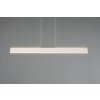 Illuminazione Trio Leuchten Galway Lampada a sospensione LED Grigio, 1-Luce