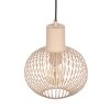 Illuminazione Trio Leuchten GILA Lampada a sospensione Beige, 1-Luce