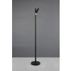 Illuminazione Reality Gomez Lampada da terra LED Nero, 1-Luce