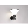 Illuminazione Reality Gorda Applique LED Nero, 1-Luce, Sensori di movimento