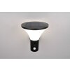 Illuminazione Reality Gorda Applique LED Nero, 1-Luce, Sensori di movimento