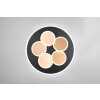 Illuminazione Trio Leuchten Mandala Plafoniera LED Nero-Oro, 1-Luce, Telecomando