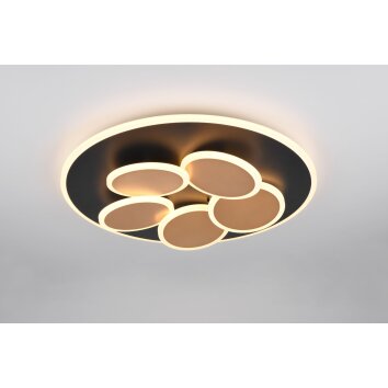 Illuminazione Trio Leuchten Mandala Plafoniera LED Nero-Oro, 1-Luce, Telecomando