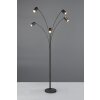 Illuminazione Trio Leuchten Marley Lampada da terra, Lampade ad arco Nero, 5-Luci