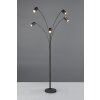 Illuminazione Trio Leuchten Marley Lampada da terra Nero, 5-Luci