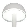 Lampada a forma di fungo  Illuminazione Reality Mendorez Lampada da tavolo LED Grigio, 1-Luce