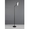 Illuminazione Reality Mondello Lampada da terra LED Nero, 1-Luce