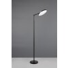 Illuminazione Reality Mondello Lampada da terra LED Nero, 1-Luce