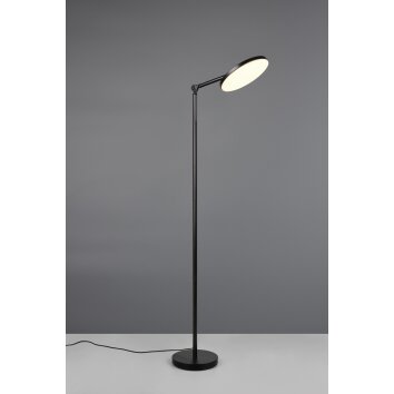 Illuminazione Reality Mondello Lampada da terra LED Nero, 1-Luce