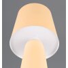 Illuminazione Trio Leuchten Nubian Lampada da tavolo Beige, 1-Luce