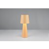 Illuminazione Trio Leuchten Nubian Lampada da tavolo Beige, 1-Luce