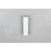 Illuminazione Trio Leuchten Raglan Applique LED Bianco, 2-Luci