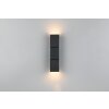 Illuminazione Trio Leuchten Raglan Applique LED Nero, 2-Luci