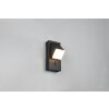 Illuminazione Trio Leuchten Raglan Applique LED Nero, 1-Luce