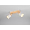 Illuminazione Trio Leuchten Shanti Faretto da soffitto Grigio, 2-Luci