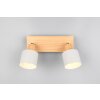 Illuminazione Trio Leuchten Shanti Faretto da soffitto Grigio, 2-Luci