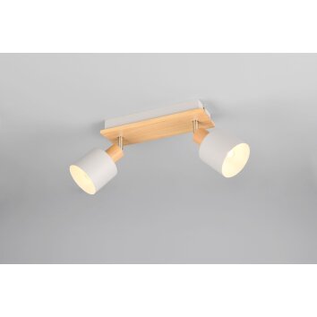 Illuminazione Trio Leuchten Shanti Faretto da soffitto Grigio, 2-Luci